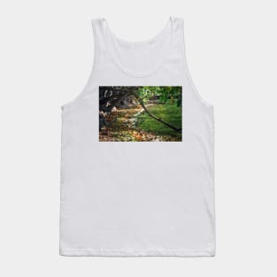 Myers Big Island State Park Tank Top